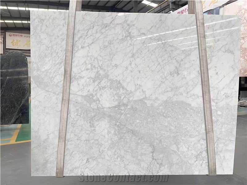 Bianco Carrara Statuarietto Marble  Tipo Venato Slabs