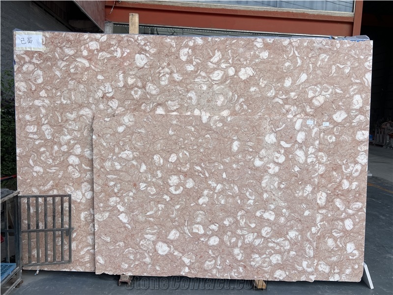Shells Reef Pink Limestone Slabs