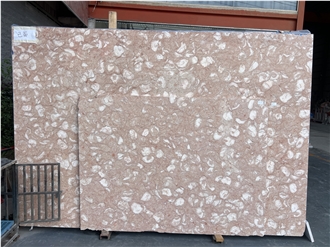 Shells Reef Pink Limestone Slabs Shells Reef Pink Limestone Slabs