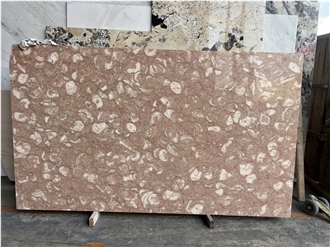 Shells Reef Pink Limestone Slabs
