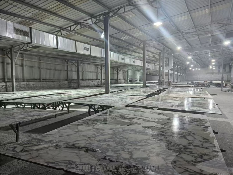 Italy Calacatta Viola Marble Bvlgari Marble Slabs