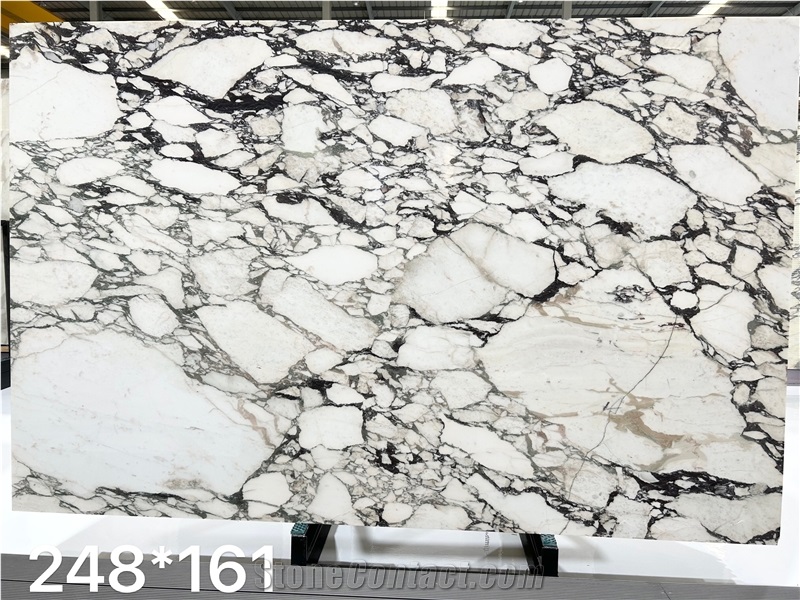 Calacatta Viola Marble Slabs Unique Durable Construction