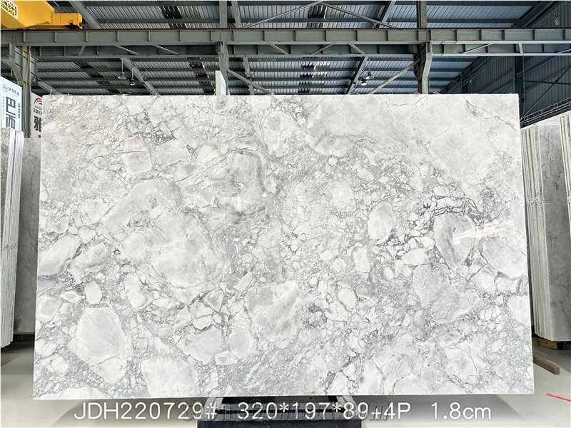 Super White Quartzite Slabs Elegant Design Free CAD
