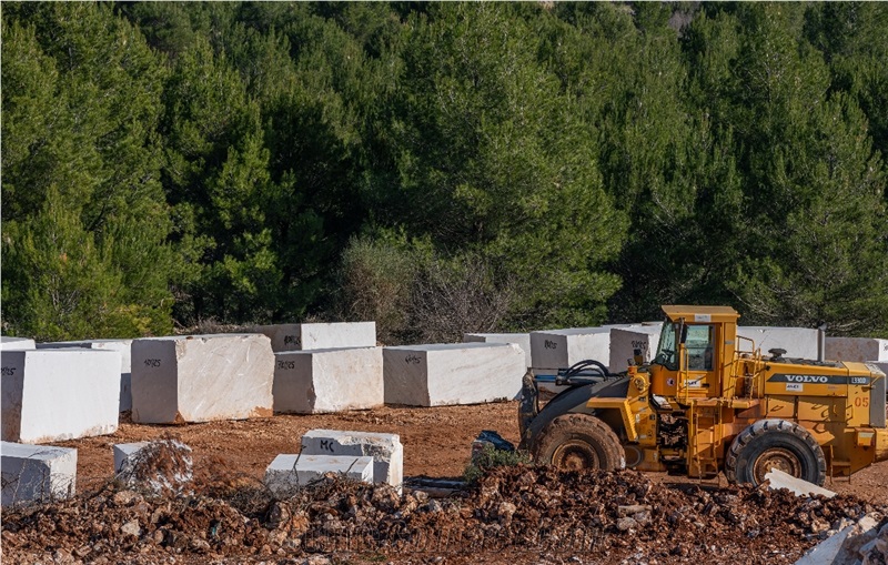 Sebenico Limestone Blocks (Croatia-Šibenik)