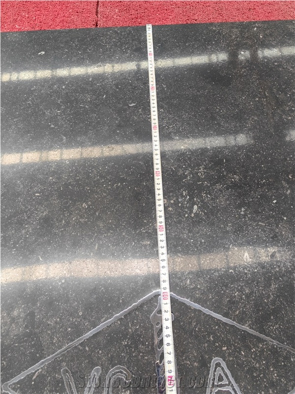 AST Wholesale Supplier Belgium Hardstone Noir De Mazy Limestone Tiles