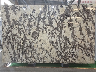 Customizable Splendor White Granite Natural Stone Slabs Customizable Splendor White Granite Natural Stone Slabs