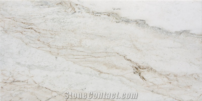 Modern Design Polished Jiashi White Marble Veins Wall Tiles