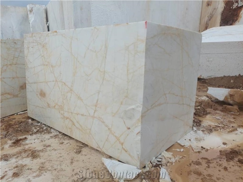 Golden Spider Marble Blocks