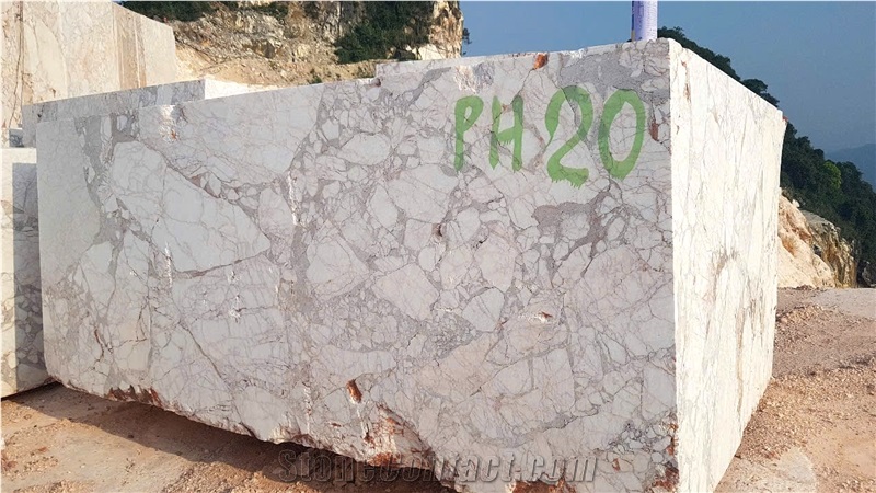 Vietnam Calacatta Red Marble Blocks