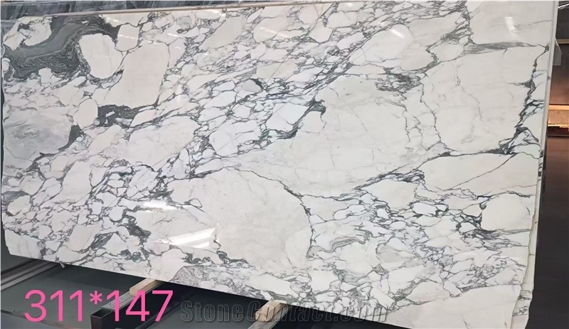 Italian Arabescato Corchia Marble Slabs For Wall & Floor