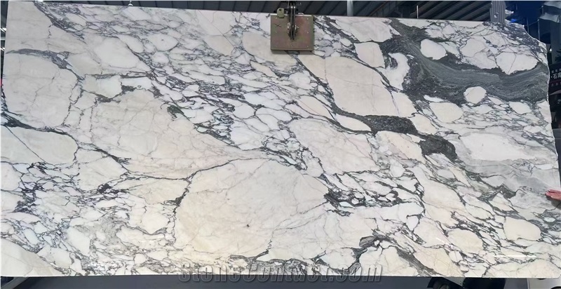 Italian Arabescato Corchia Marble Slabs For Wall & Floor