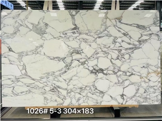 Italian Arabescato Corchia Marble Slabs For Wall & Floor
