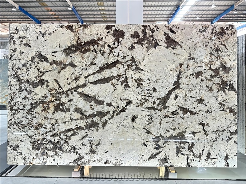 Polished Bianco Antico Granite Slabs