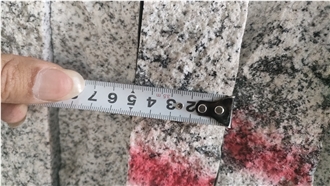China Viscount White Tibet White Granite Slabs