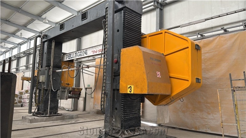 Pellegrini Multiwire 8 Wires Cutting Machine - Used Machine