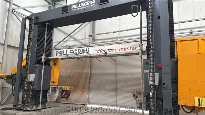 Pellegrini Multiwire 8 Wires Cutting Machine - Used Machine