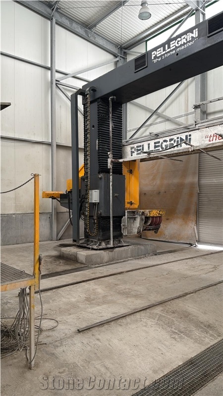 Pellegrini Multiwire 8 Wires Cutting Machine - Used Machine