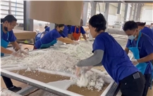 Grand Quartz Tech Co., Ltd.