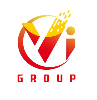 VIC GROUP INC