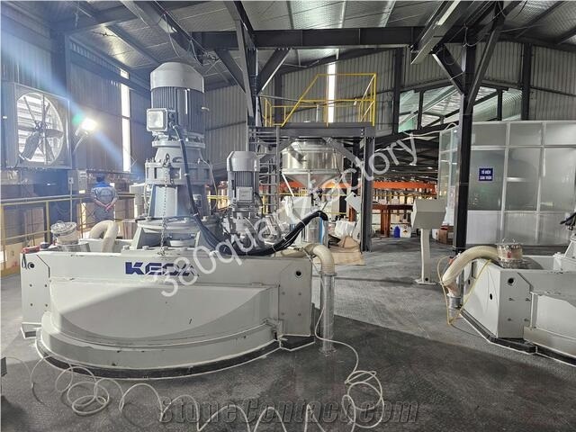 VIC GROUP INC