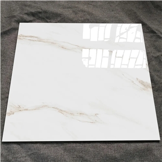 600X600mm Porcelain Tiles