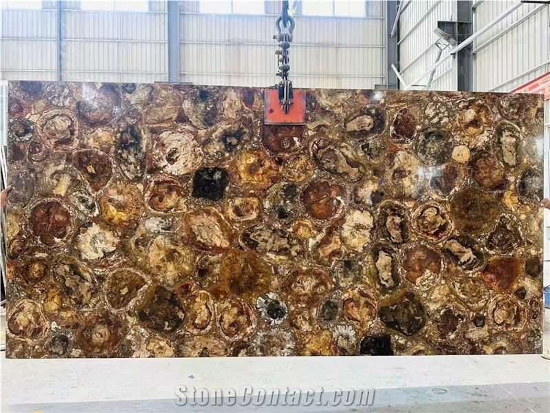 Crossing Cut Petrified Wood Semiprecious Stone Slabs