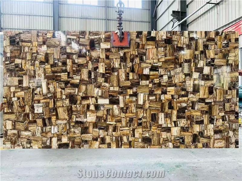 Petrified Wood Stone Semiprecious Stone Slabs For Wall