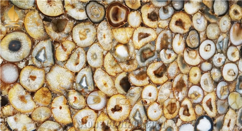 Petrified Wood Stone Semiprecious Stone Slabs For Wall