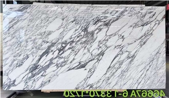 Arabescato Corchia Marble Elegance Slabs Tiles