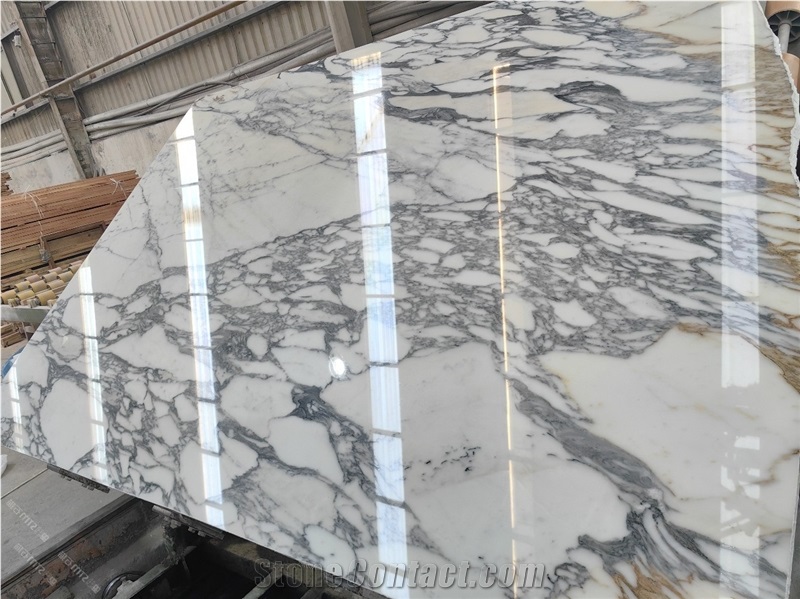 Arabescato Corchia Marble Elegance Slabs Tiles