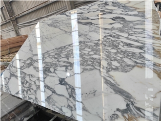 Arabescato Corchia Marble Elegance Slabs Tiles