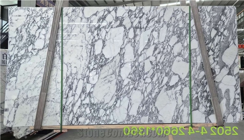 Arabescato Corchia Marble Elegance Slabs Tiles