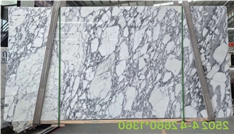 Arabescato Corchia Marble Elegance Slabs Tiles