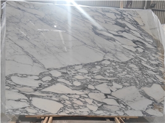 Arabescato Corchia Marble Elegance Slabs Tiles