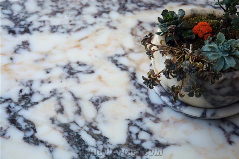 Calacatta Viola Marble Slabs