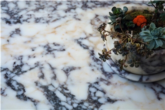 Calacatta Viola Marble Slabs