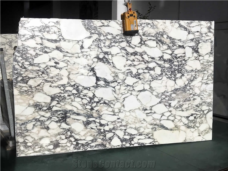 Calacatta Viola Marble Slabs
