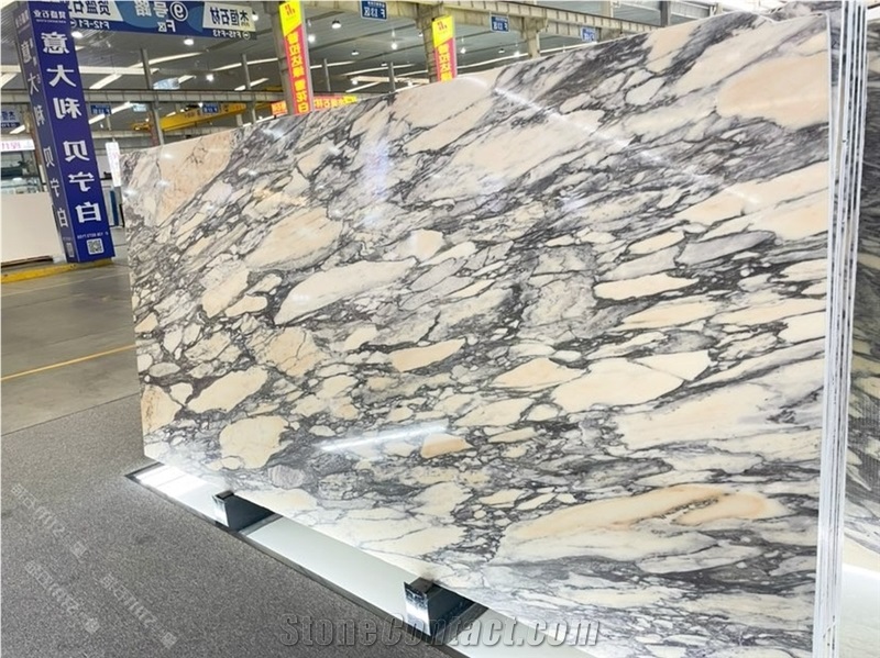 Calacatta Viola Marble Slabs Tiles