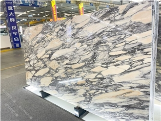 Calacatta Viola Marble Slabs Tiles