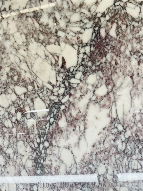 Calacatta Viola Marble Slabs Tiles