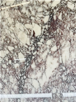 Calacatta Viola Marble Slabs Tiles