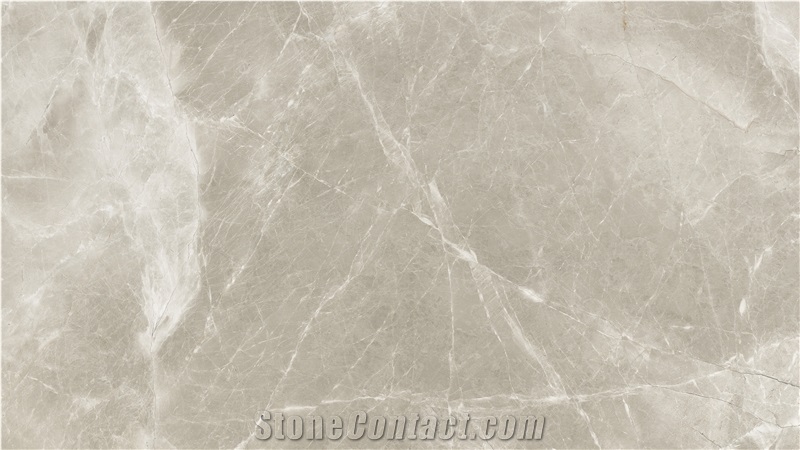 Alibaba Grey Marble Tiles