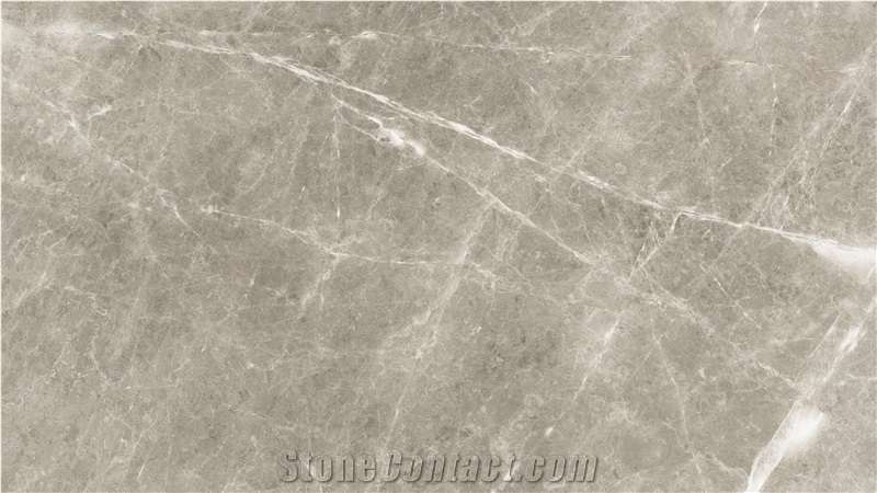 Alibaba Grey Marble Tiles