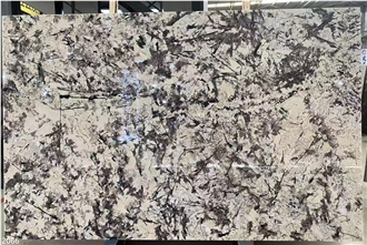 Splendor White Granite Slabs Silver Fox Snow Mountain Orchid