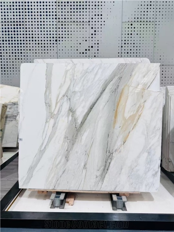 Calacatta Caldia Marble Slabs Rich Veining Premium Quality