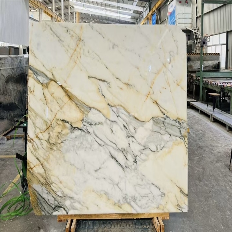 Calacatta Gold Marble Slabs Lustrous Surface Opulent Feel