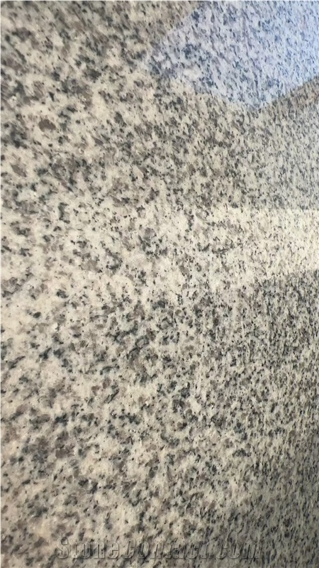 G603 Granite Slabs Subtle Speckles Timeless Style