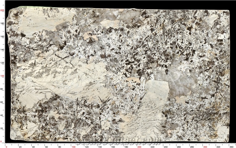 Patagonia Quartzite Slabs Dazzling Translucency Luxe Elegance