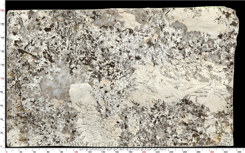 Patagonia Quartzite Slabs Distinctive Grain Robust Durability