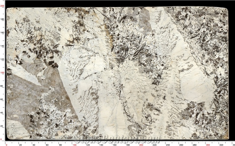 Patagonia Quartzite Slabs Distinctive Grain Robust Durability